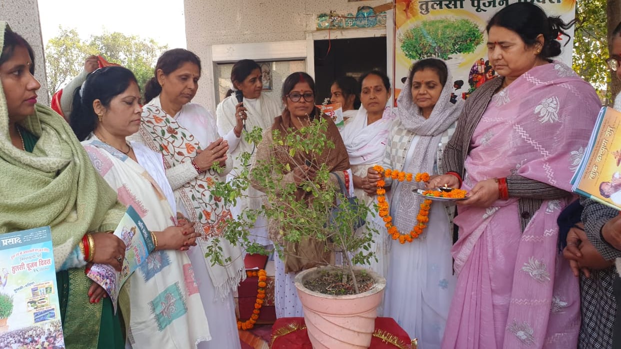 Tulsi is the mother of Indian culture and the goddess of health.