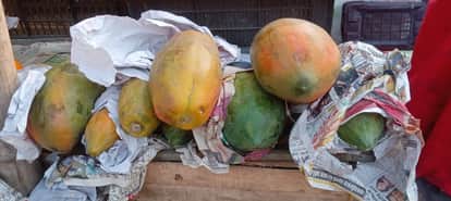 Mumbai's papaya is boosting immunity