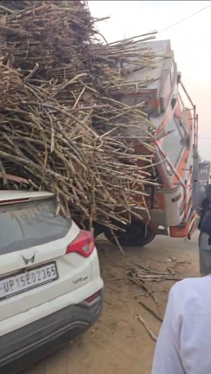 A truck loaded with sugarcane overturned on a car, but the occupants survived.