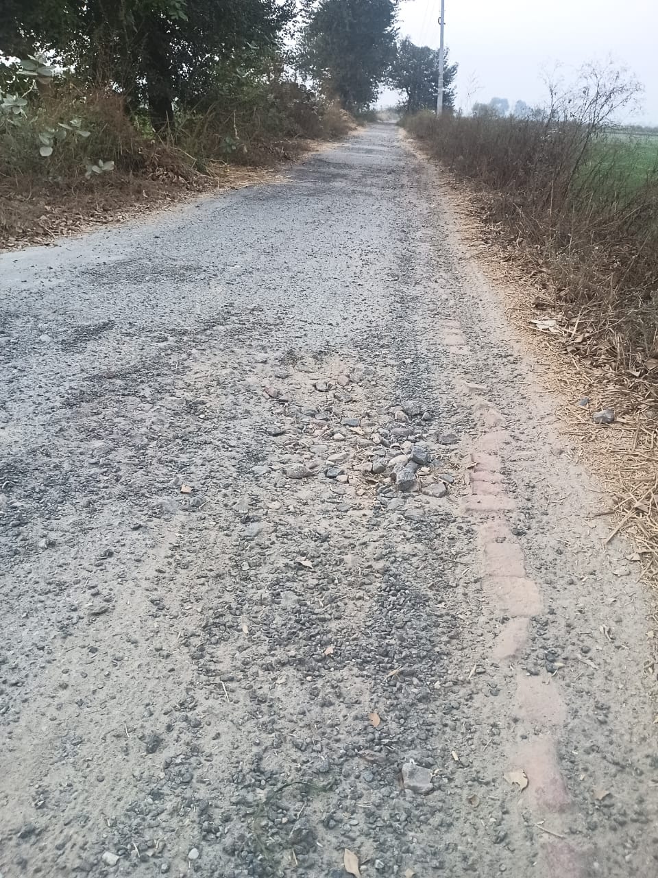 Trouble due to potholes on Kalkha-Brahmin Majra Road