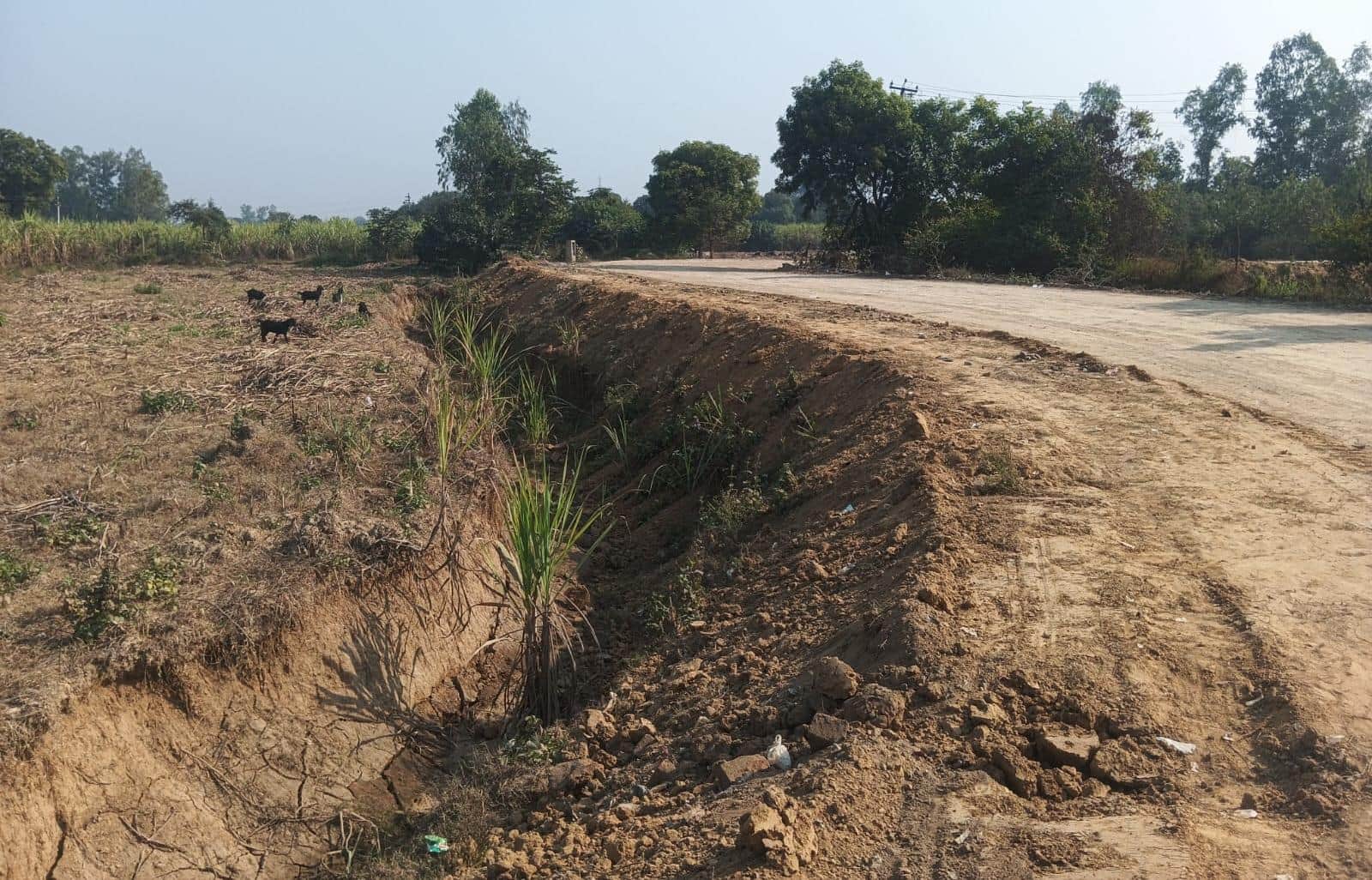 खेत में हो गया गड्ढा।