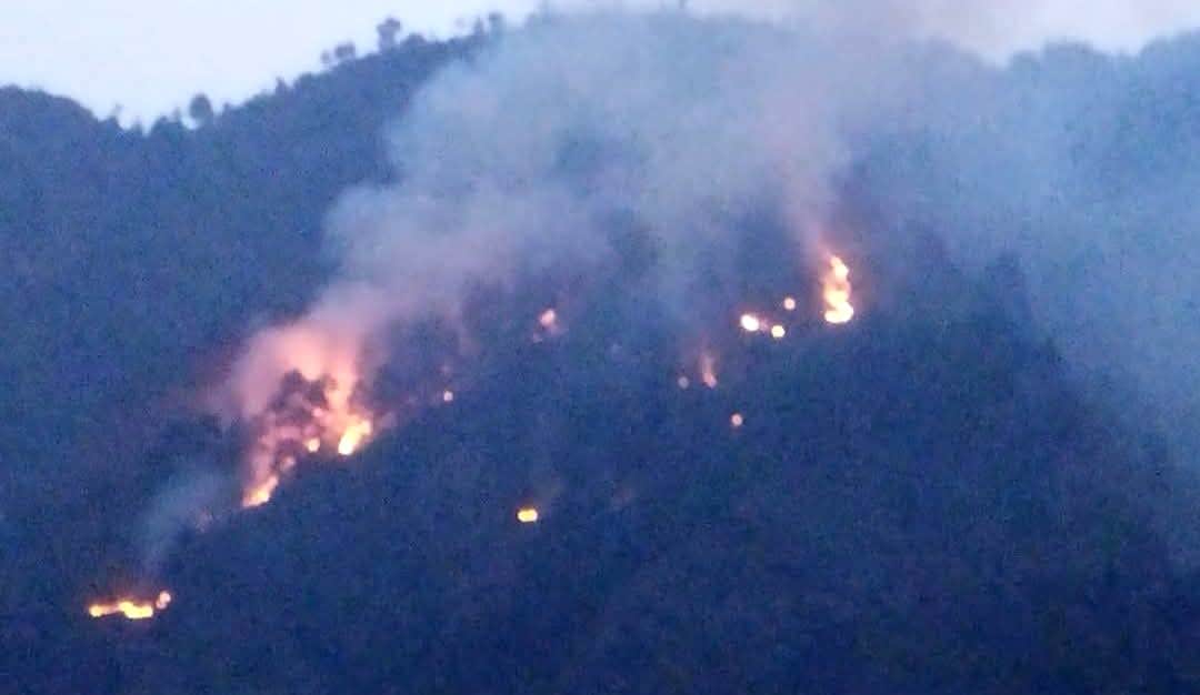 सैंज घाटी के कनौन के जंगल में लगी आग।-जागरूक पाठक
