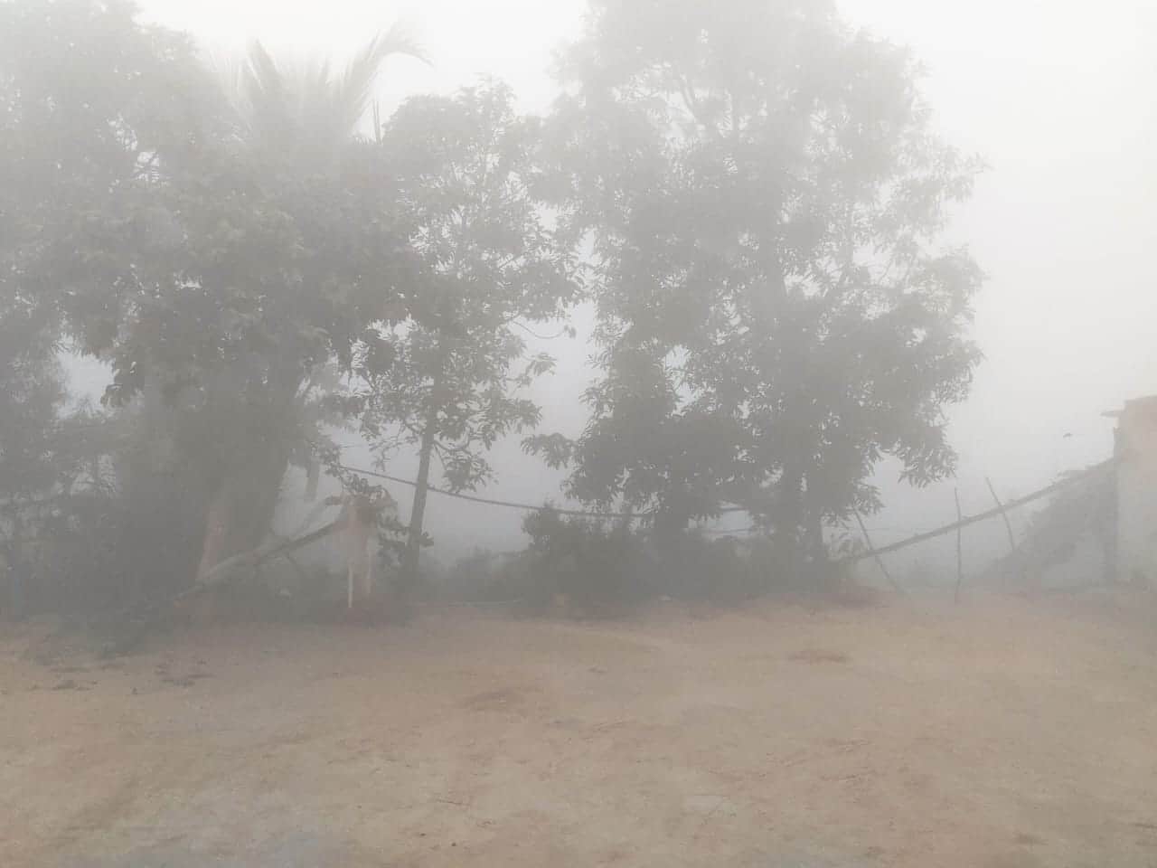 दिन में छाया कोहरा। संवाद