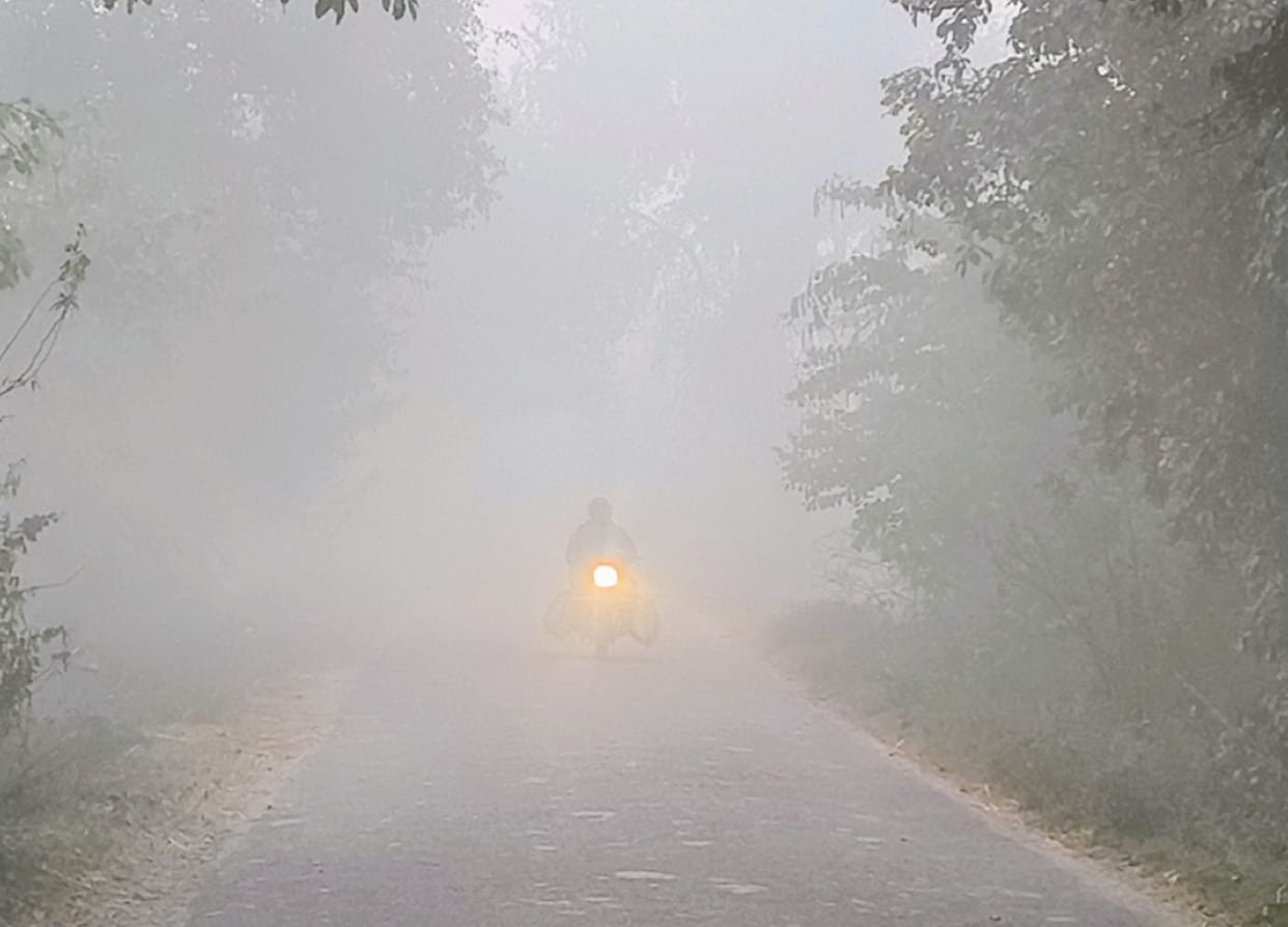 Dense fog prevailed in the morning, reducing visibility