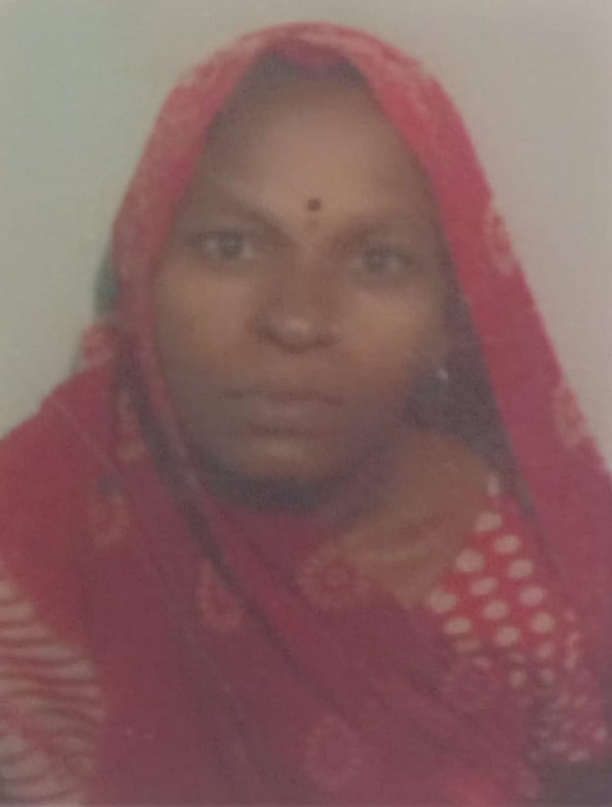 Woman dies in road accident, family devastated