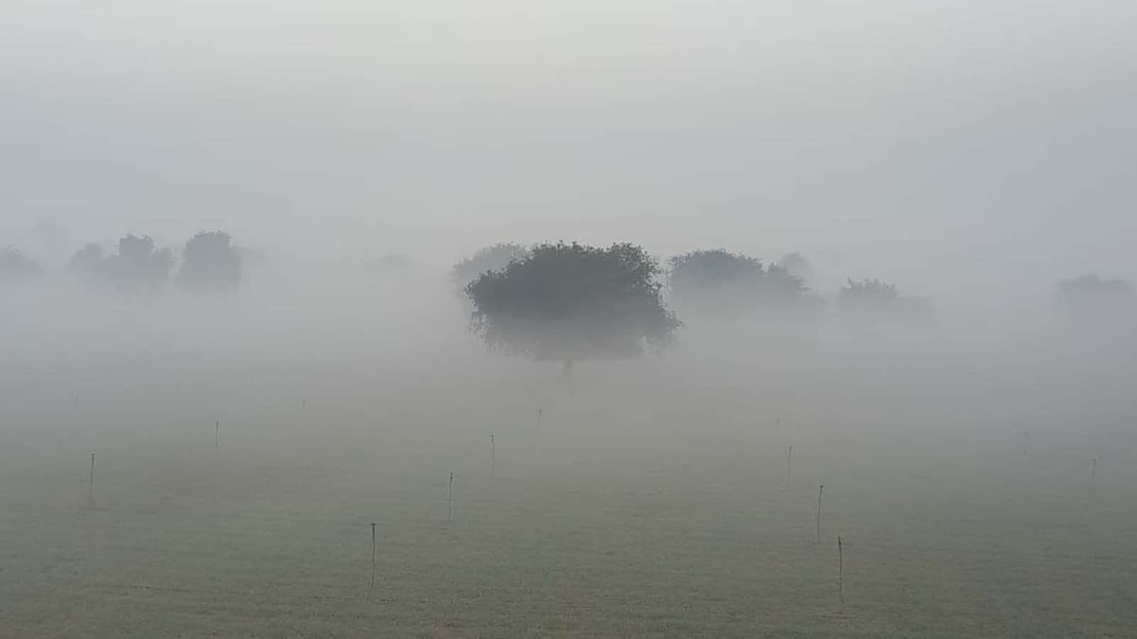 कोसली में सुबह के छाया घना कोहरा। संवाद