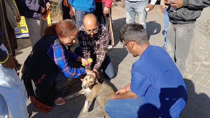 नाहन में टीम लावारिस कुत्तों का टीकाकरण करते हुए। संवाद