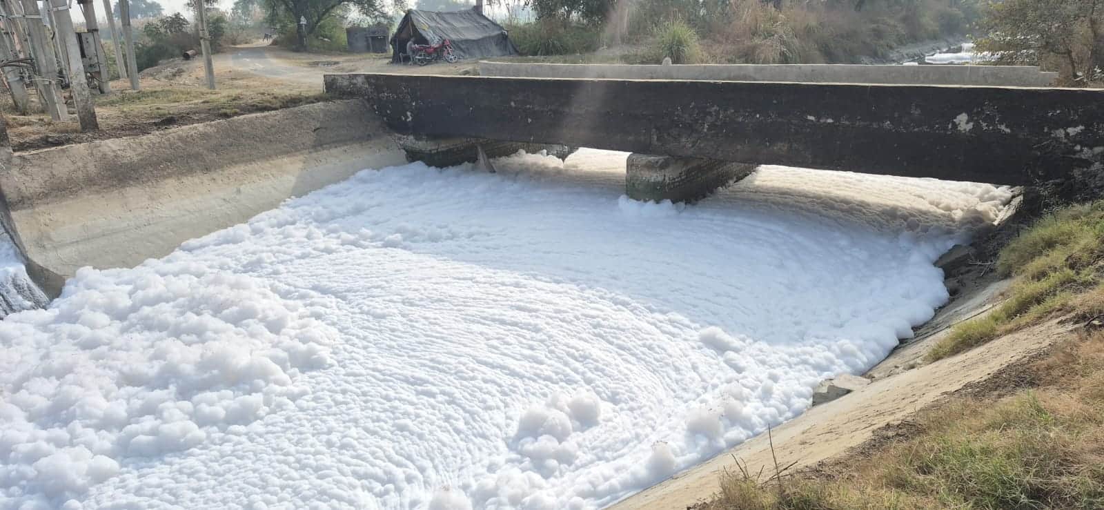  नहर में बिछी सफेद झाग की बिछी चादर।