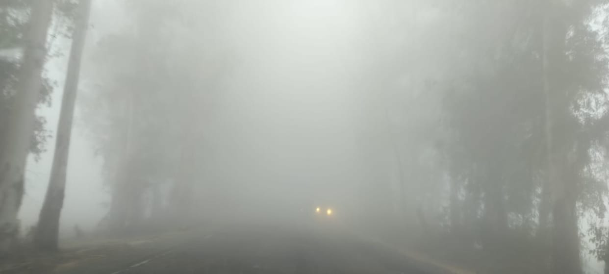 White lines on the roads, lack of signs, fear of accidents in the fog.