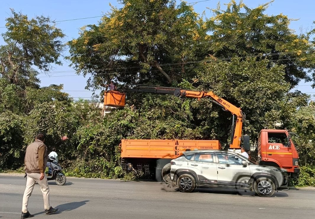 Tree trimming and pruning work was carried out in the city, disrupting the power supply.
