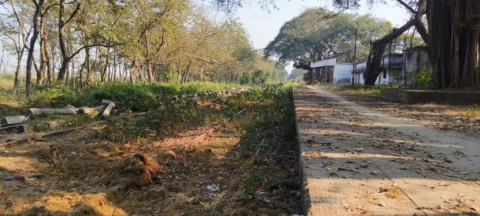 The Chhitauni rail project has gained momentum, and surveys have begun for the construction of bridges.