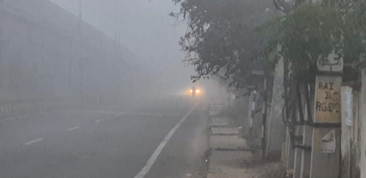 Weather News: Dense Fog Engulfs Several Districts of Rajasthan as Western Disturbance Effect Fades