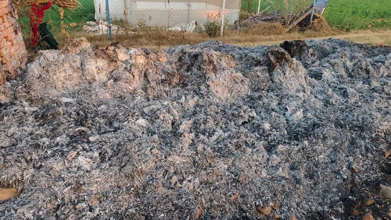 250 maunds of bitter gourd burnt to ashes in Dochana village, demand for compensation