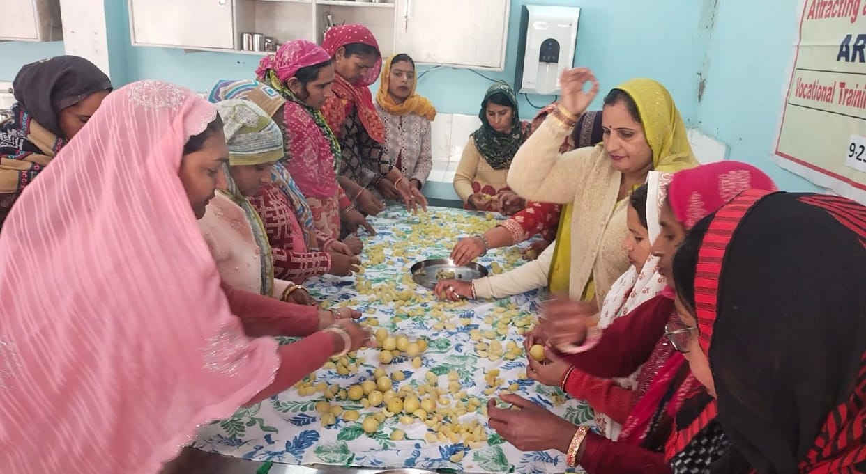20 women will be given vocational training in food processing and value addition.