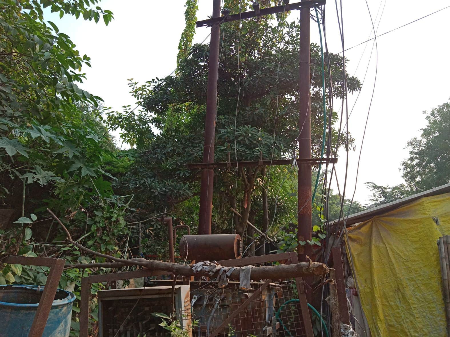 गोलाघाट पुल के रास्ते में मौजूद खंभा, ट्रांसफार्मर व पेड़।