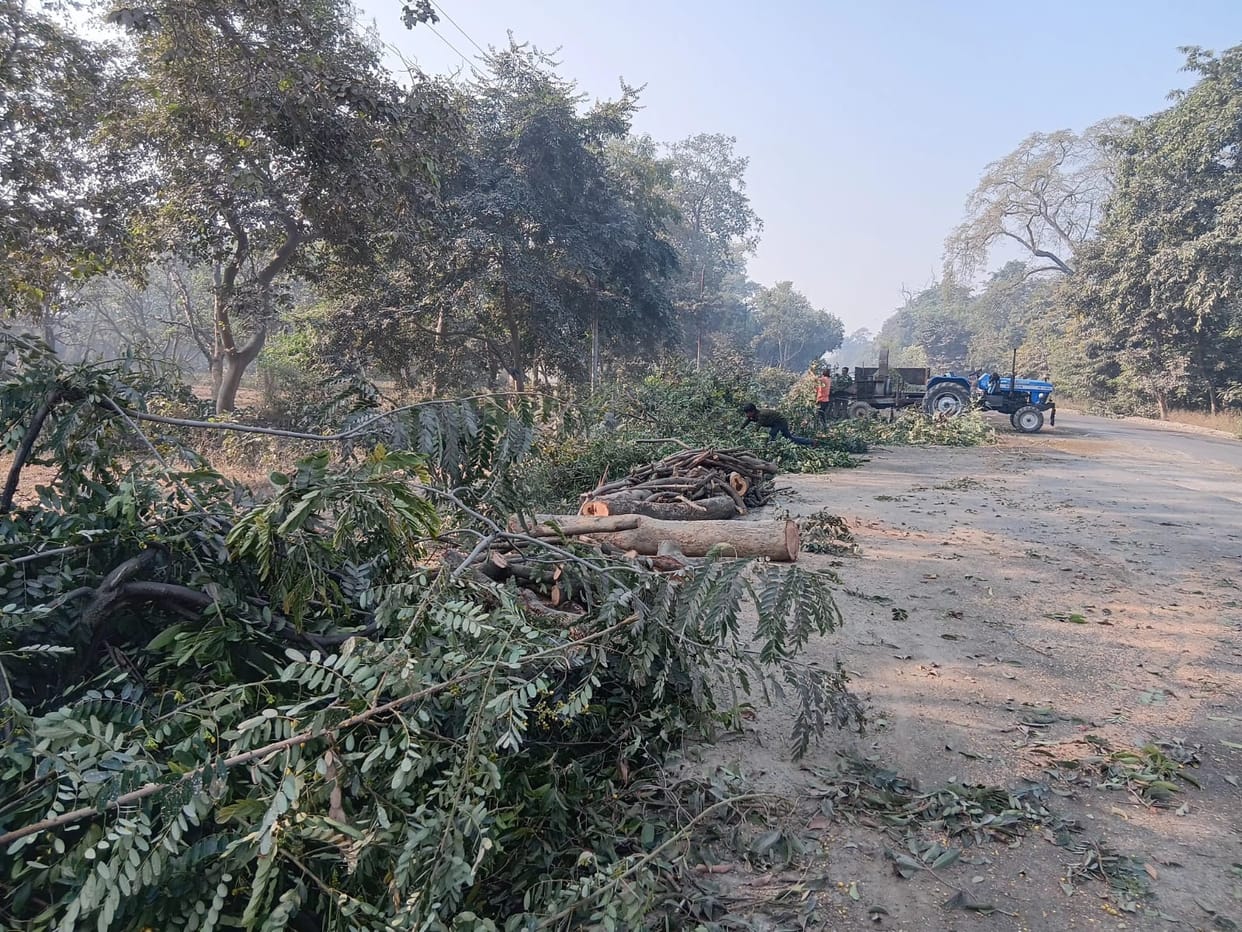The felling of trees has begun to widen the highway to four lanes.