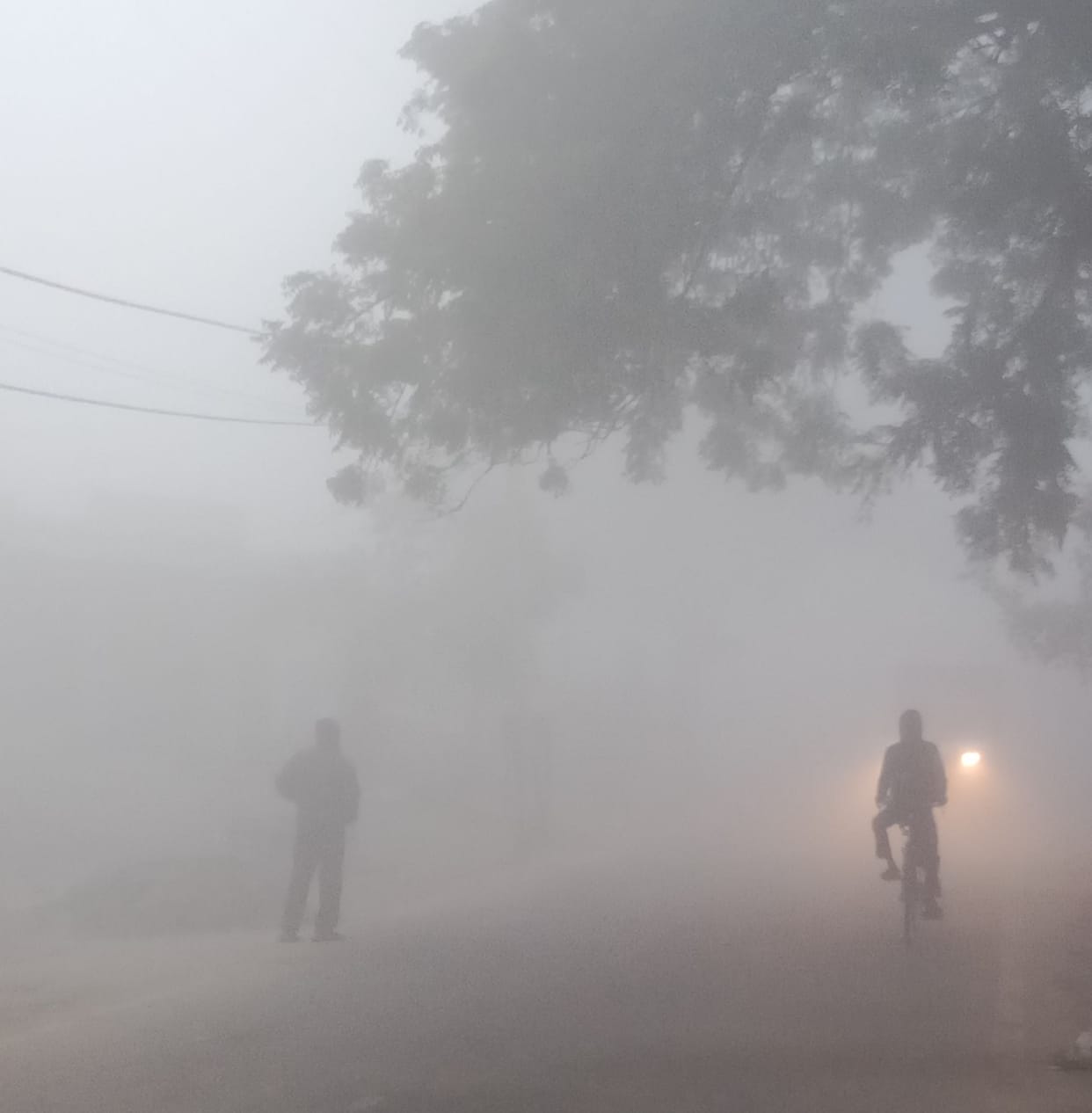 Dense fog covered the roads, reducing visibility to two meters.