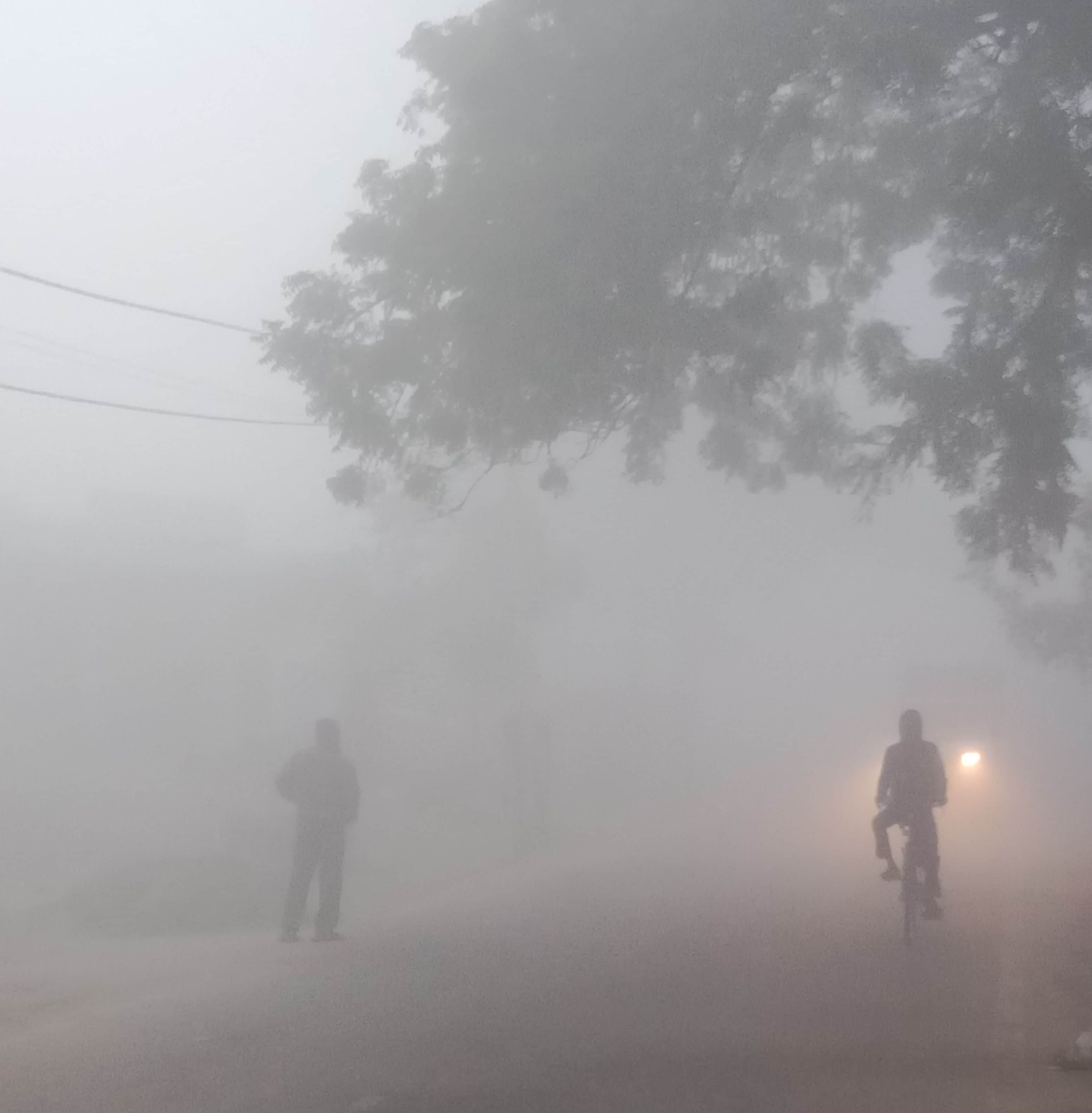 कोहरे के कारण वाहन चालकों को दिन में लाइट जलाकर चलना पड़ा। संवाद