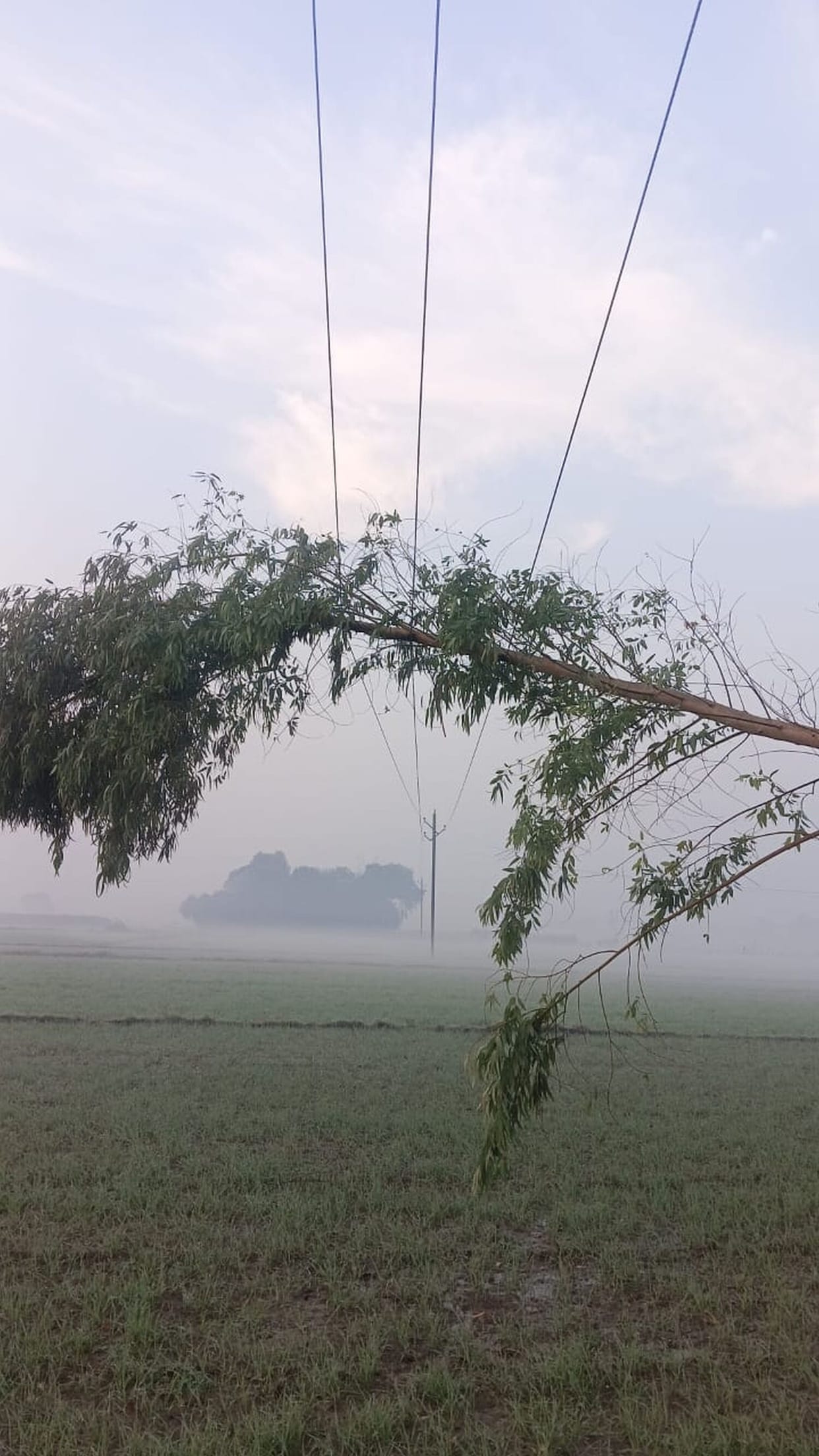 A tree fell on a high-tension line, causing power outages in 20 villages for eight hours.