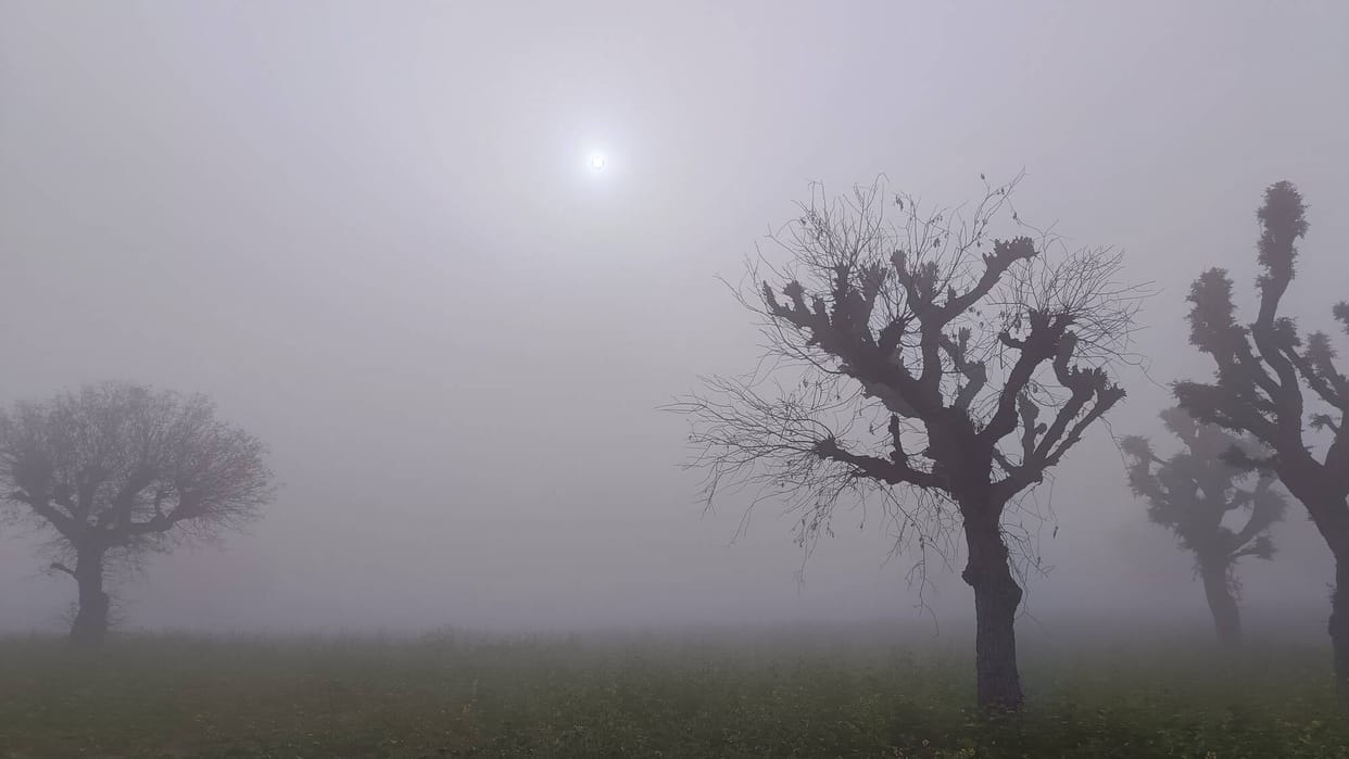 The district is shrouded in a blanket of fog, visibility reduced to 10 meters, and farmers' faces are glowing.