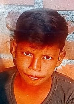 A boy died after falling from a roof during a monkey attack.