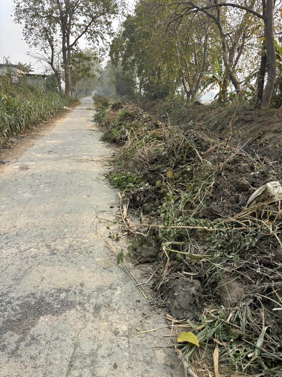 पथरदेवा विकास खंड के ओलीपट्टी माइनर की सफाई के बाद सड़क किनारे छोड़ा गया मलबा।  स्रोत-संवाद