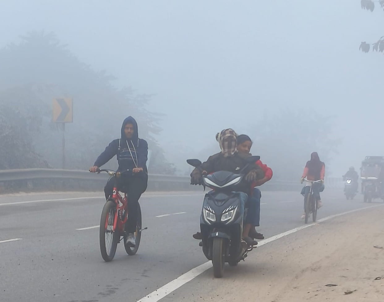 Fog causes cold to increase, impacting public life