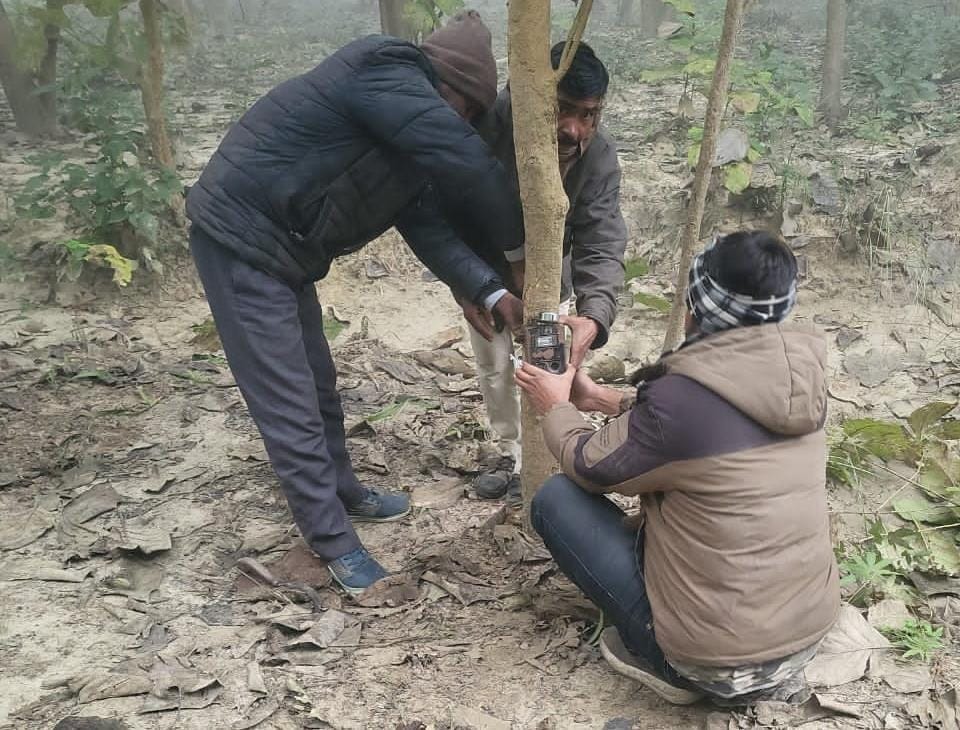 Work on installing cameras in the buffer zone forests of Dudhwa has also begu