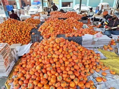 Japanese fruit shines like a star, fetches record price of Rs 300 per kg