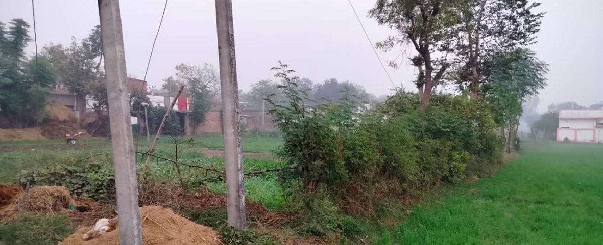 Daughter-in-law dies due to electric shock from stay rod, mother-in-law and father-in-law get scorched