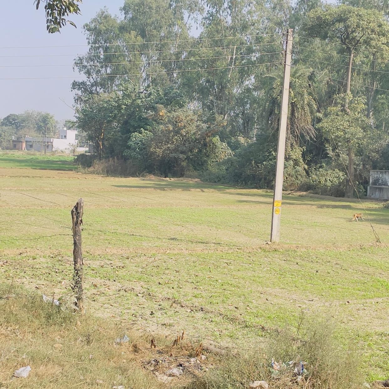The file to remove encroachments from land that has been stuck in government offices for six years