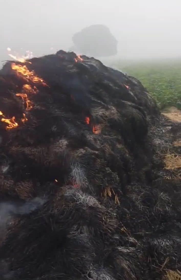 परसिया गांव के खेत में जला हुआ पुआल का ढेर। संवाद