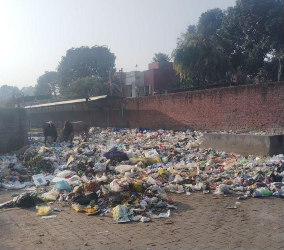 Sanitation conditions in Ward Eight are deplorable, and residents are suffering