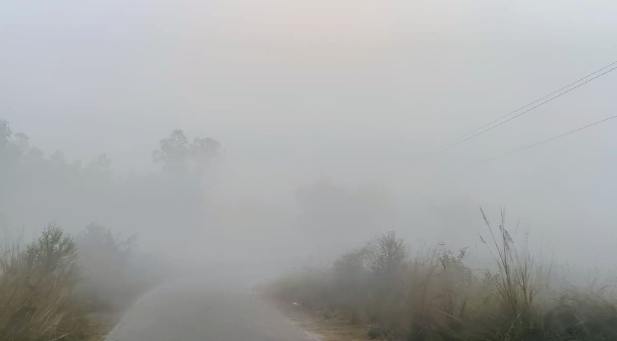 Fog breaks speed, cold winds bring down mercury