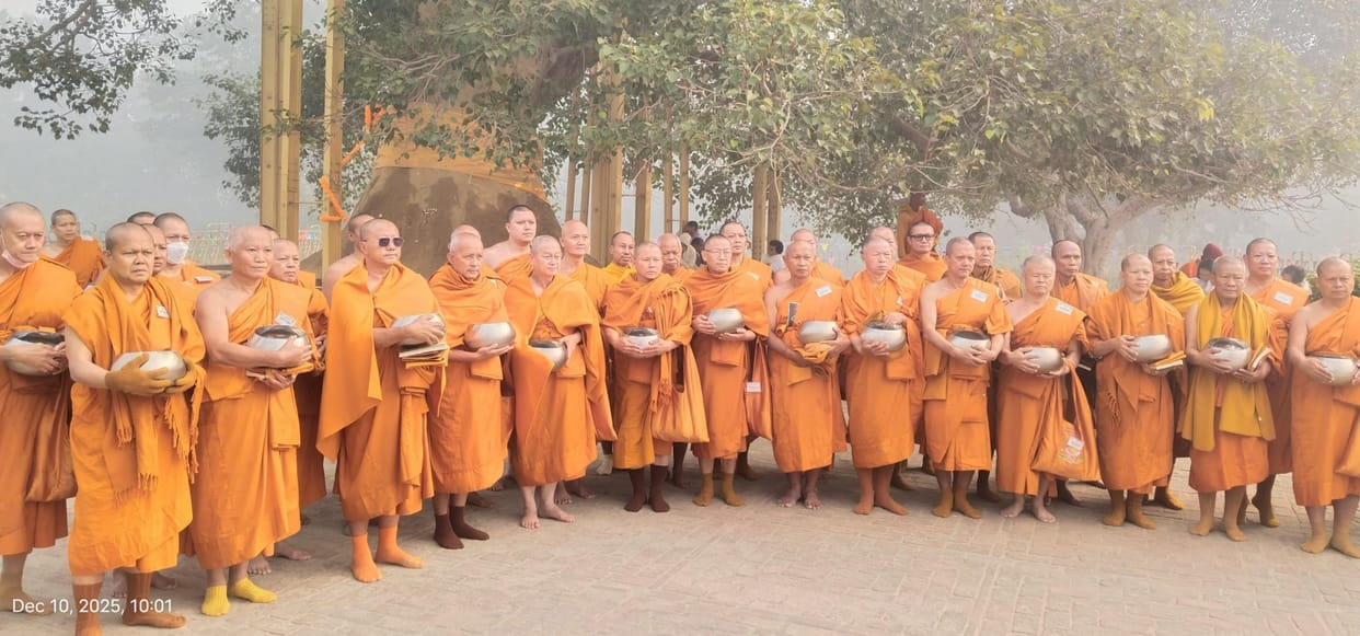 Followers worship the Bodhi tree
