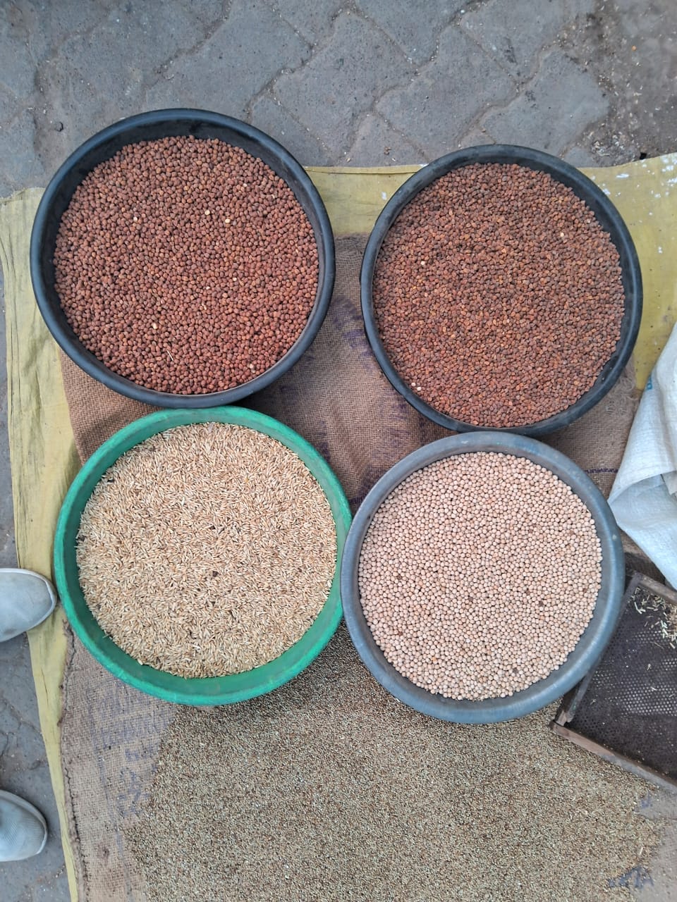 The demand for coarse grains increased in winter