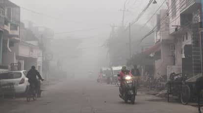 Friday was the coldest day of the season, with the mercury dropping to 14 degrees