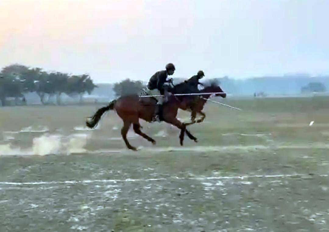 PTC equestrians will test their discipline and courage.