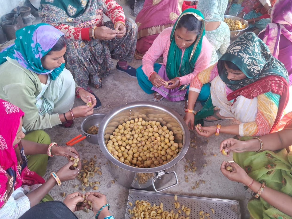 More than 15 women have started small businesses after receiving training from KVK.