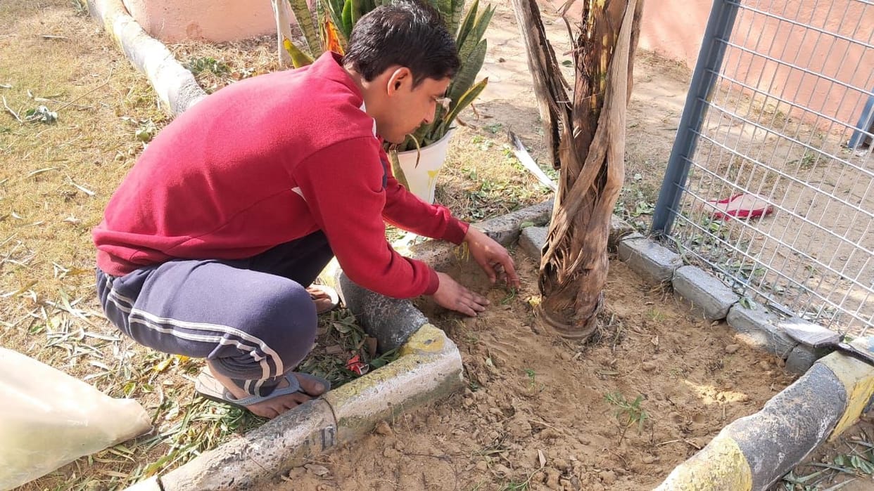 More than 200 flowering plants have been planted at the shrine.