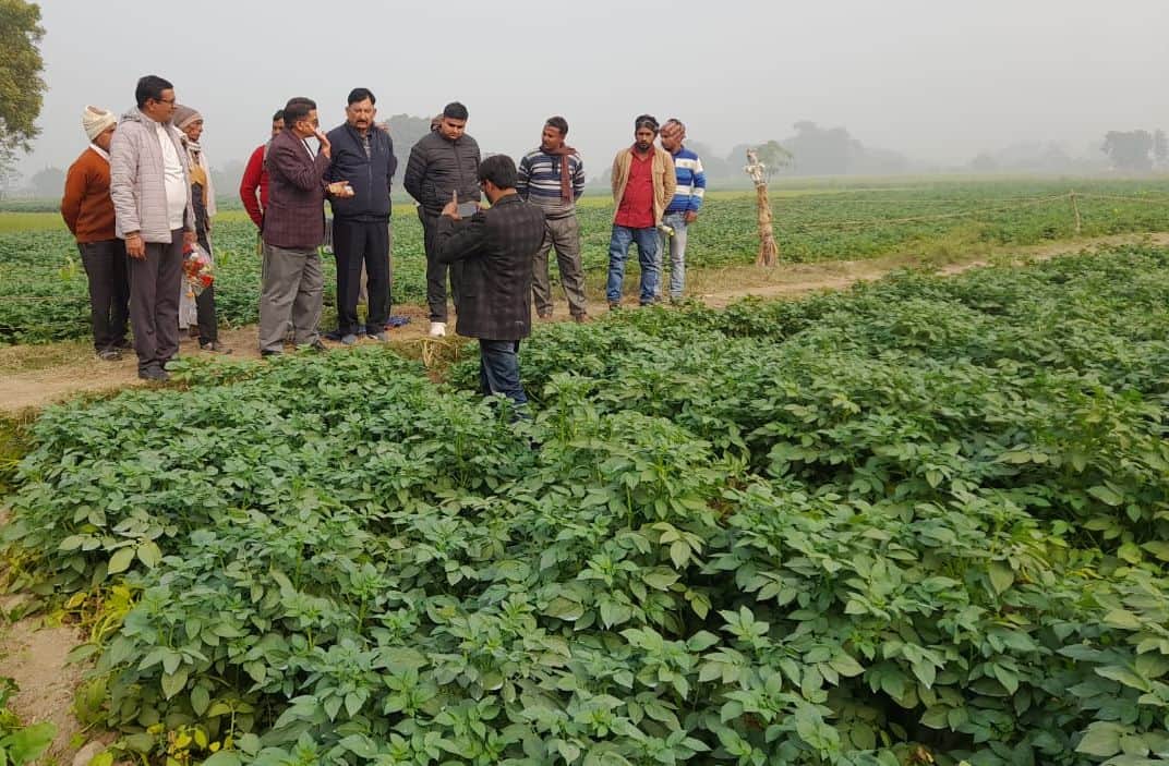 फोटो07सोरोंजी के गांव हिमांयुपुर में आलू की फलस के बारे में जानकारी करते जिला कृषि अधिकार