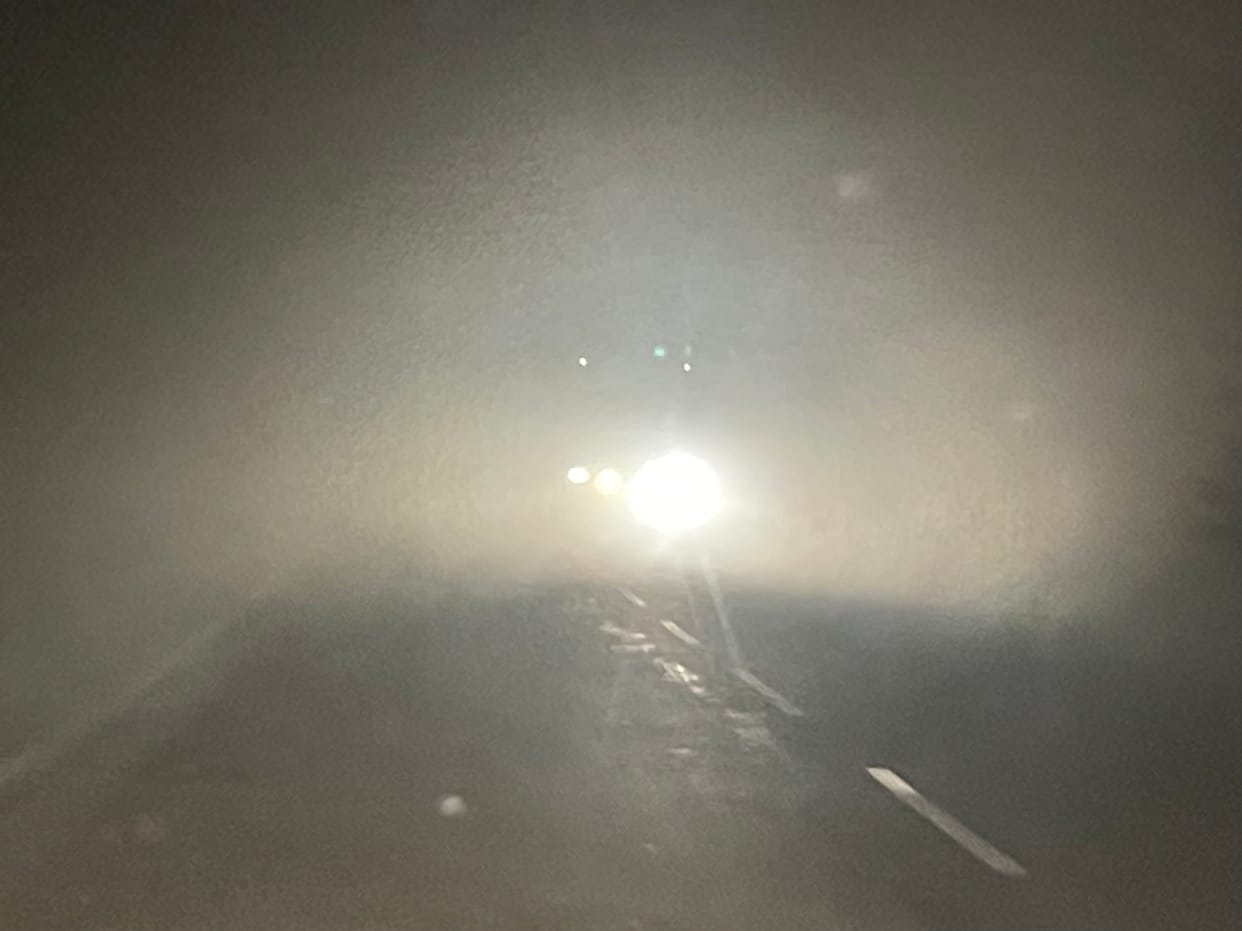 Dharamnagari remained in the grip of fog till afternoon