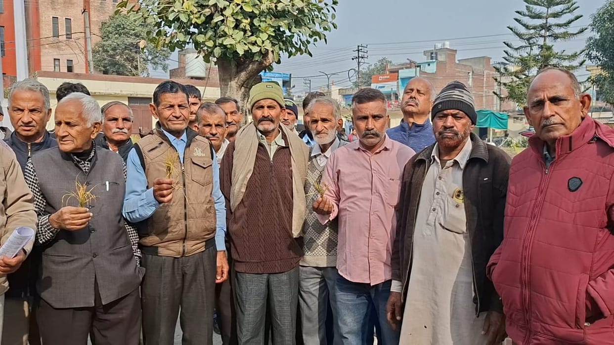 kathua news, industrial polluted water
