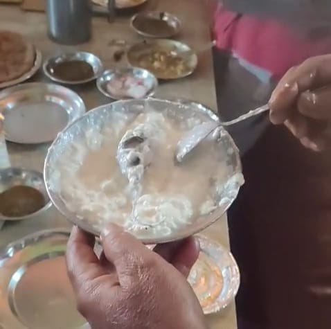 Dhaba sealed after rat found in yogurt plate