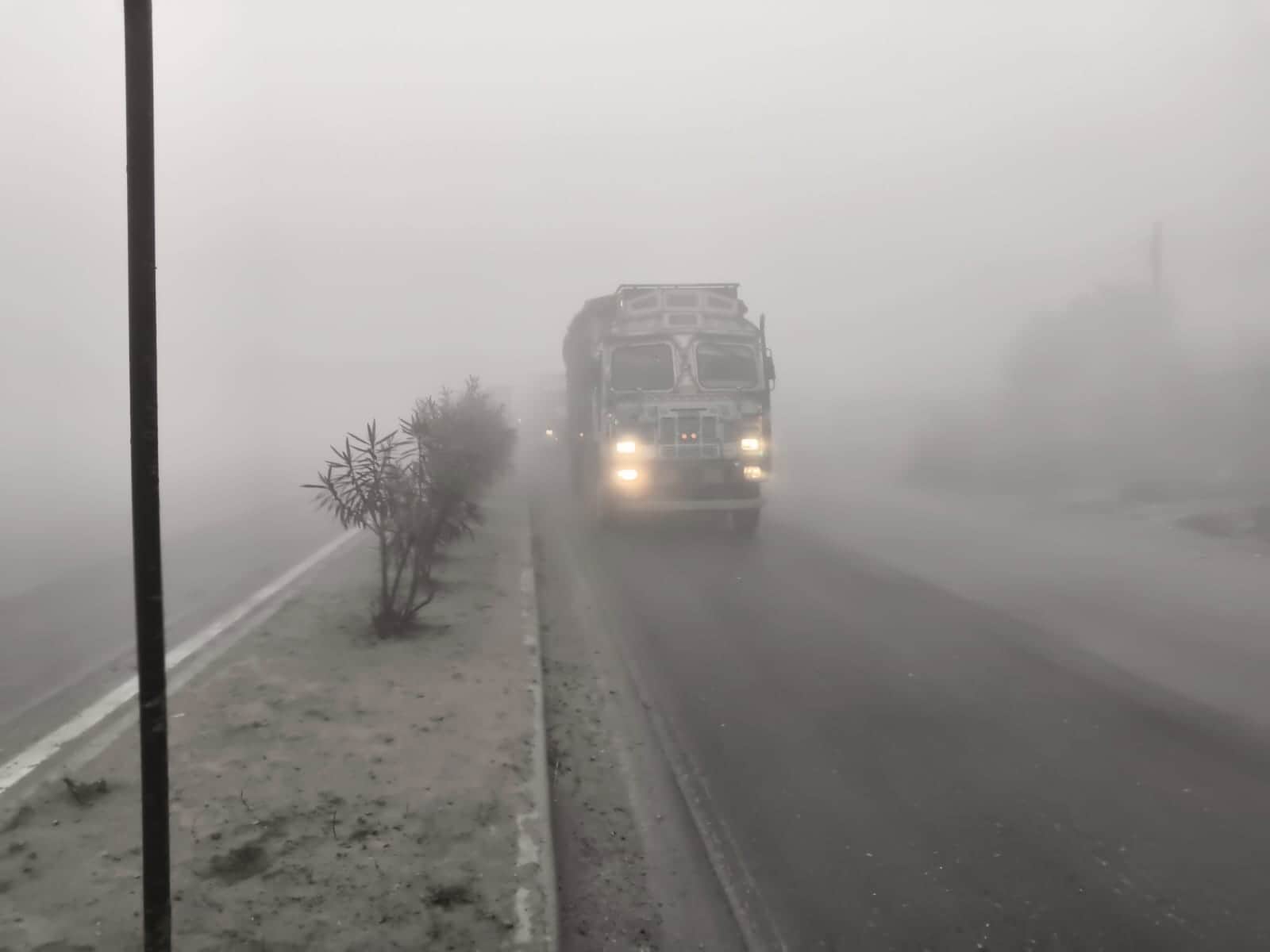 शक्तिनर-वाराणसी राजमार्ग ममुआ गांव के समीप सुबह छाया कोहरा।संवाद