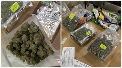 Foreign marijuana worth one crore rupees recovered from parcel from Thailand major action by CNB at Jaipur FPO