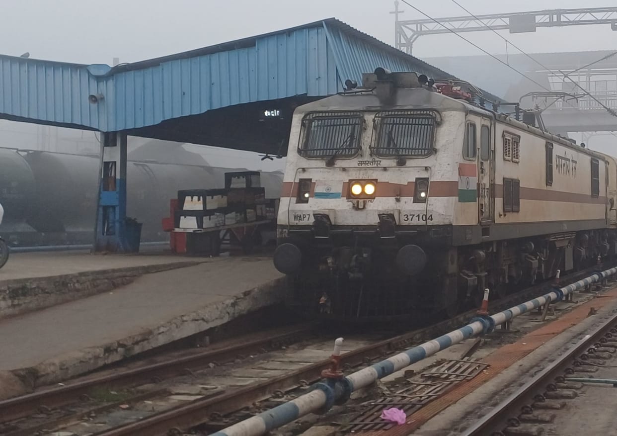 Fog affected the operation of 29 trains and a dozen buses.