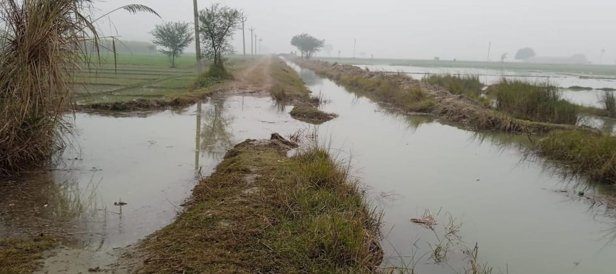Crops grown in 110 bigha fields drowned due to minor cutting