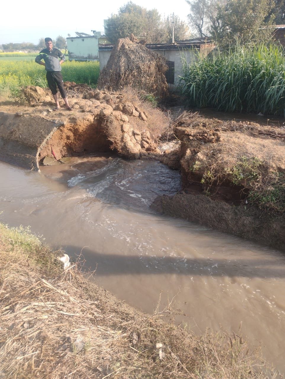 The breach in the Shyampura minor canal has flooded 10 acres of crops.