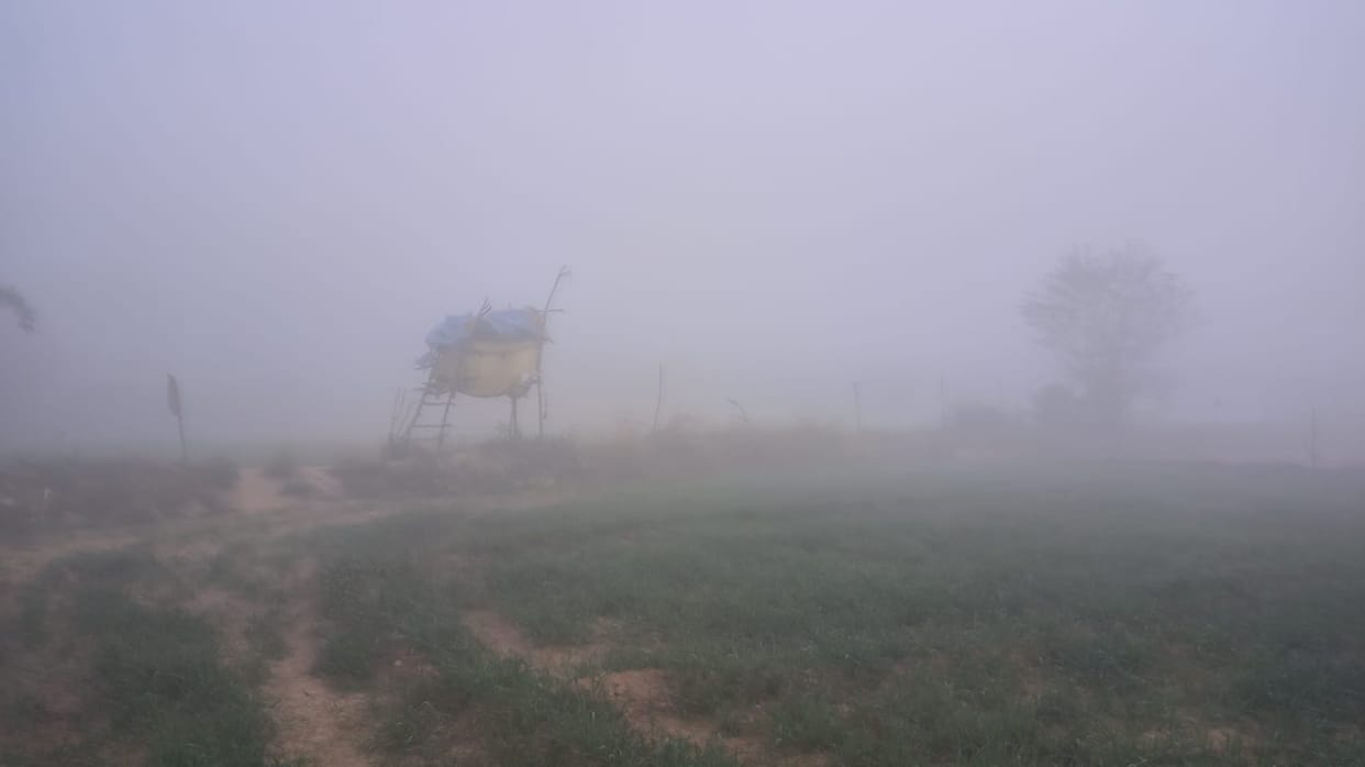 Farmers spend nights in the fields in the bitter cold, Nilgais add to the woes